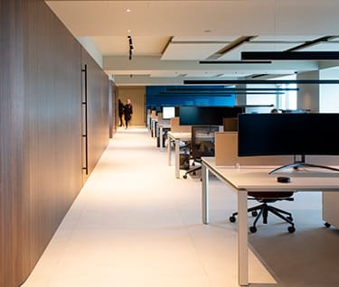 Intellectual property protection